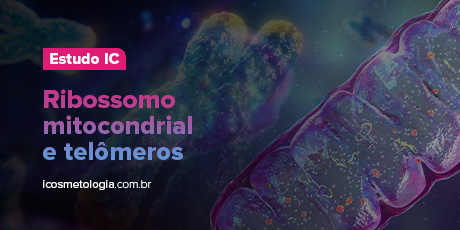 Ribossomo mitocondrial e telômeros