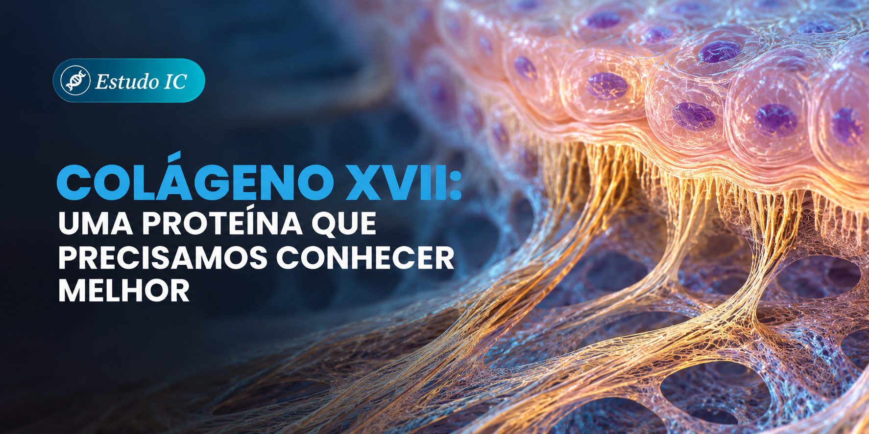 Colágeno XVII: uma proteína que precisamos conhecer melhor