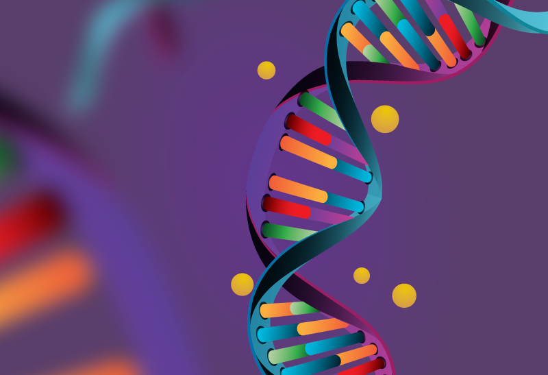 Niacinamida na proteção do DNA e redução de novos Cânceres